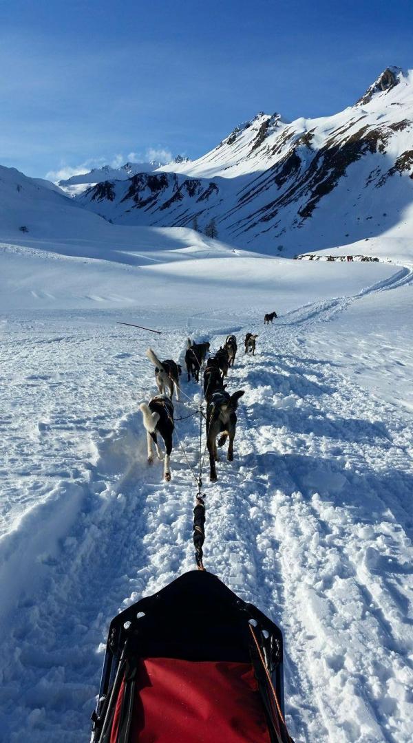 Dog Sledging