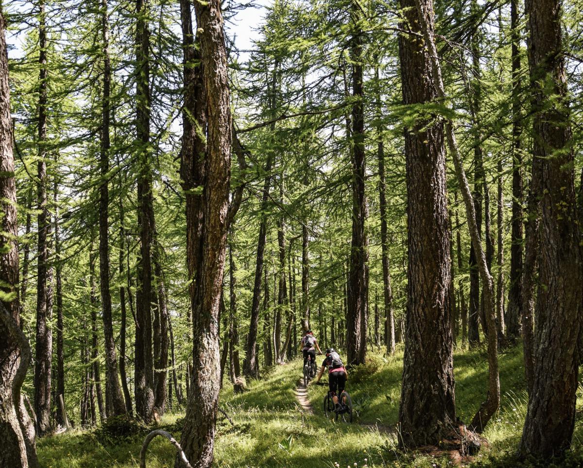 Hôtel Rock Noir & Spa - activités